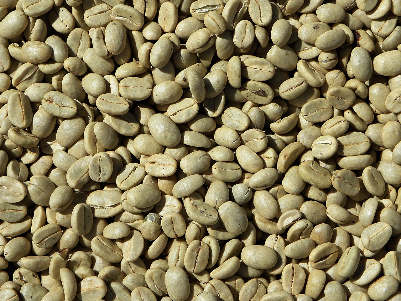 smaltisci i chili di troppo con il caffè verde