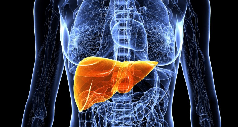 disintossica il fegato con gli alimenti giusti