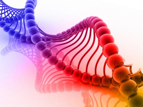 come difendere il dna